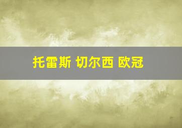 托雷斯 切尔西 欧冠